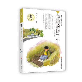 黄蓓佳倾情小说:奔跑的岱二牛  黄蓓佳  江苏凤凰少年儿童出版社  全新正版部分包邮使用感如何?
