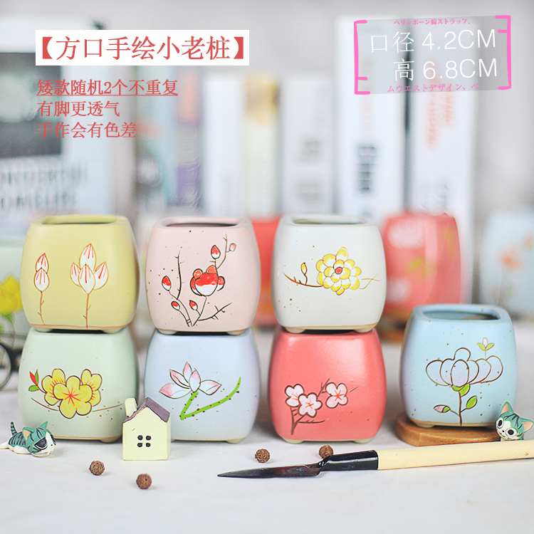 创意陶瓷手绘多肉花盆方口小老桩