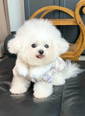 五只小白熊原创宠物衣服秋冬紫色格子加厚公主裙狗狗猫咪开衫外套