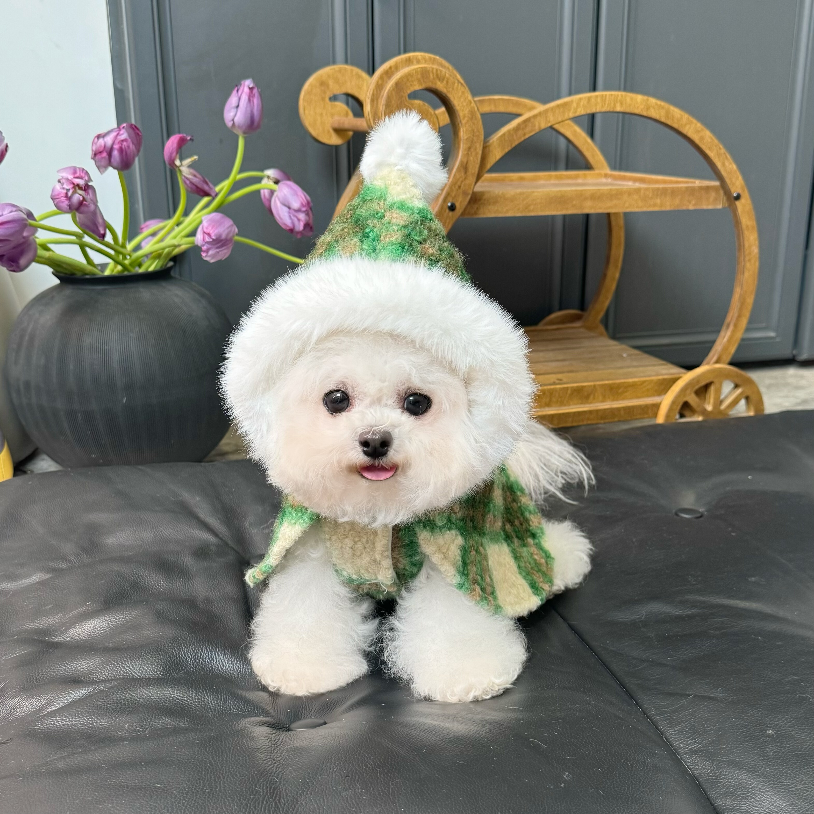 五只小白熊原创宠物衣服秋冬新款圣诞披风斗篷马甲狗狗猫加绒外套