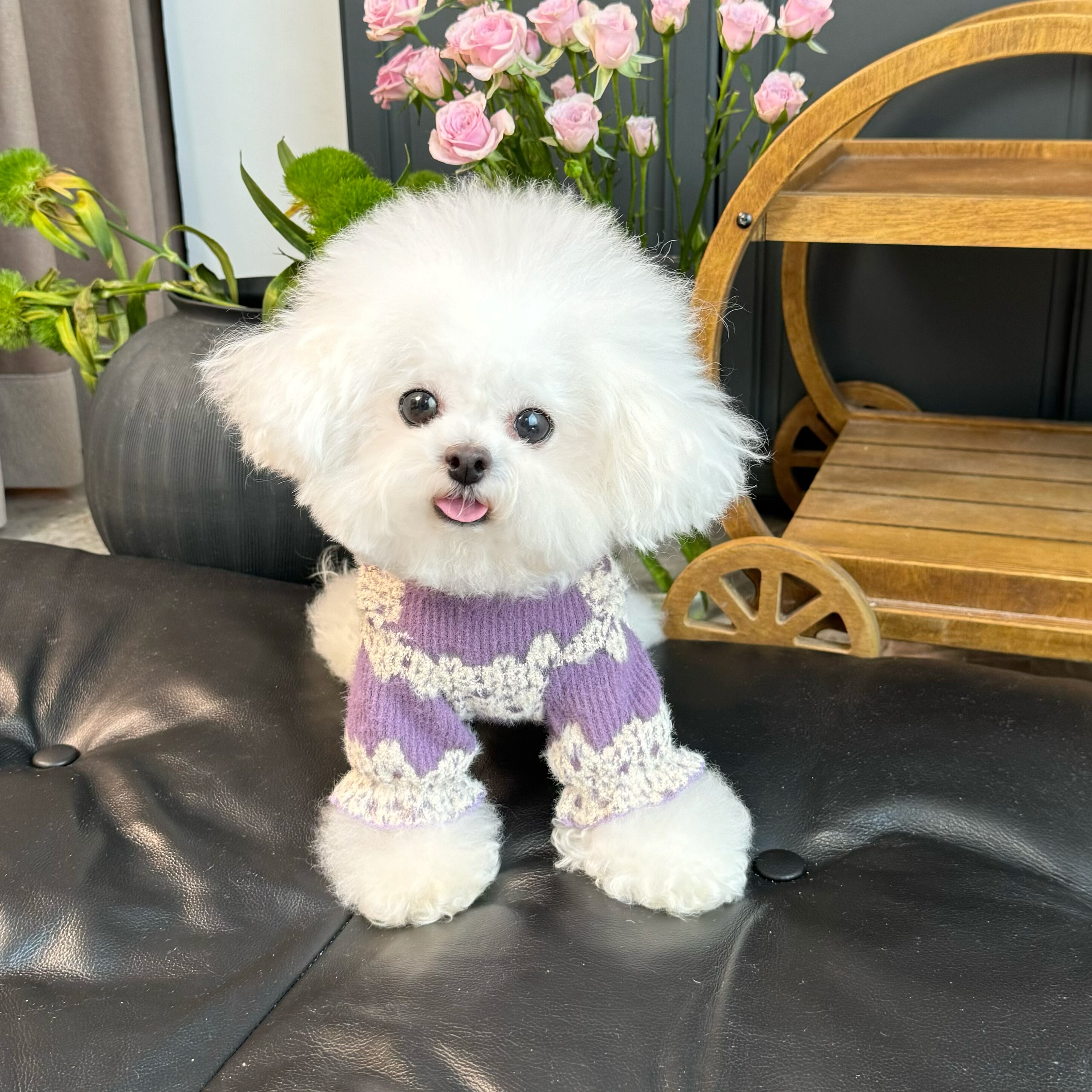 五只小白熊宠物衣服秋冬新品高弹蕾丝针织两脚内搭狗狗猫咪打底衫