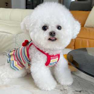 泰迪比熊狗狗猫咪居家衣服 条纹吊带裙背心情侣装 宠物衣服夏季 新款
