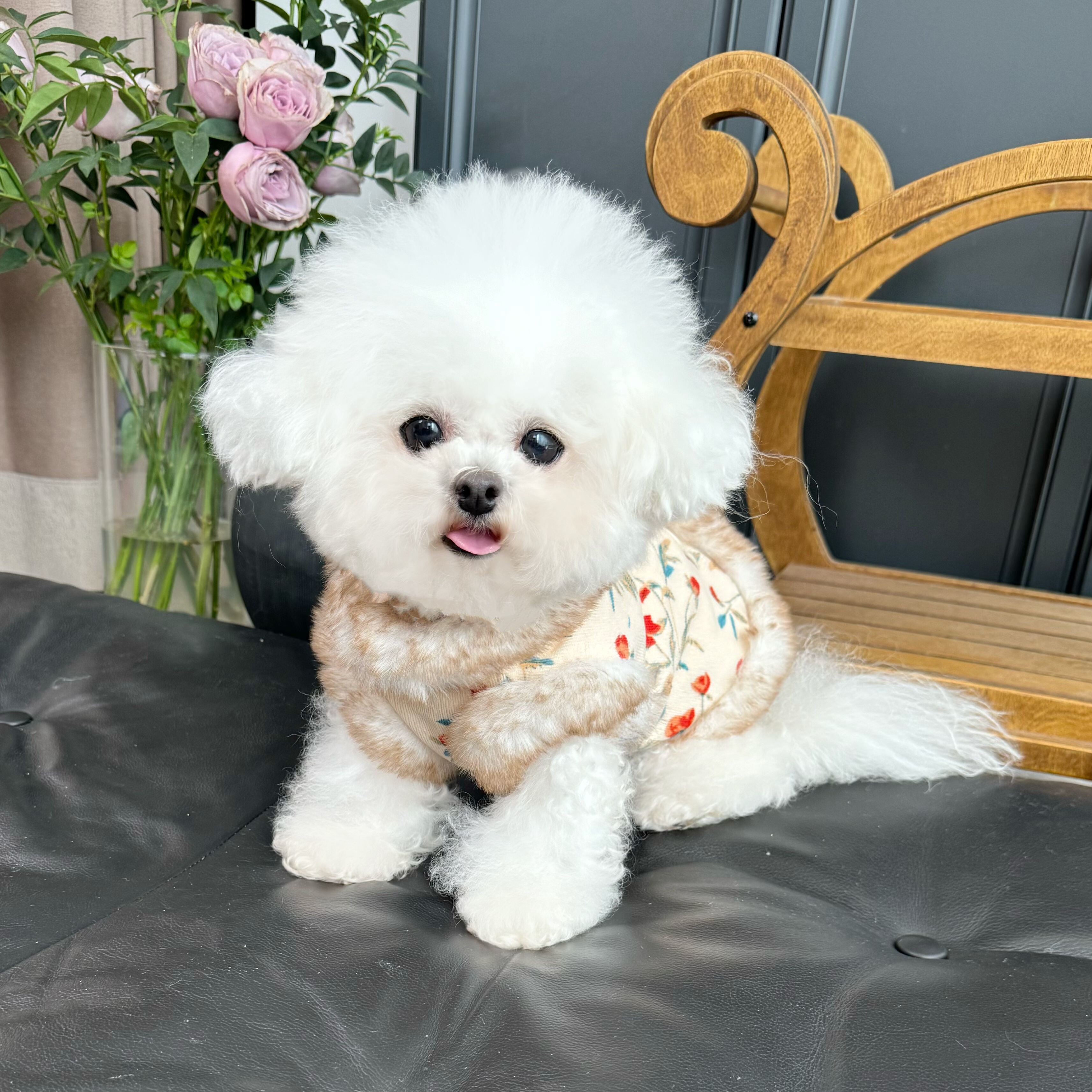 五只小白熊原创宠物衣服秋冬新款碎花灯芯绒加绒马甲狗狗猫咪外套