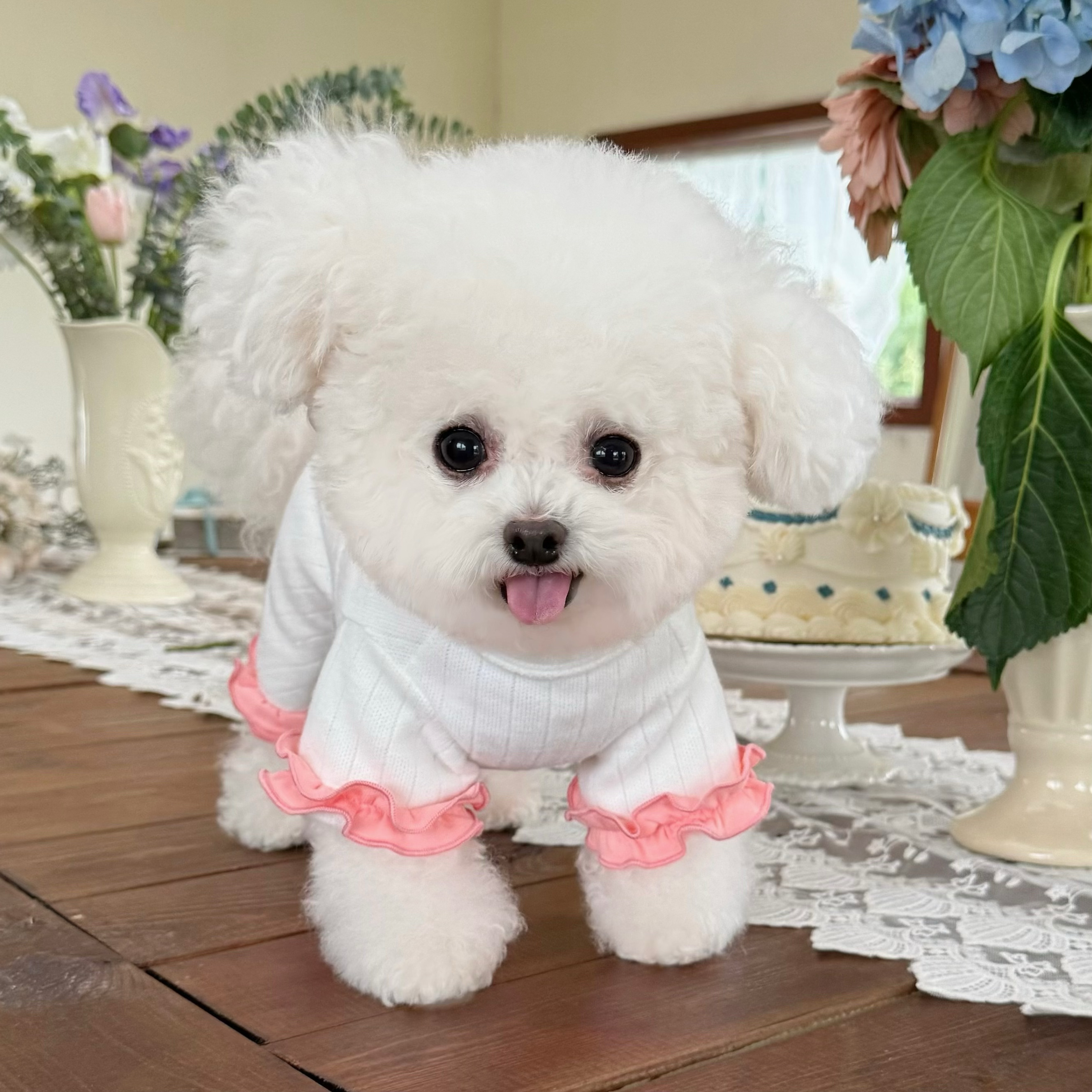 五只小白熊秋冬新款针织毛衣纽扣开衫四脚裤狗狗猫咪保暖内搭裤子