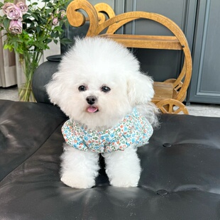 五只小白熊原创宠物衣服秋冬新款碎花飞袖夹棉外套裙狗狗猫咪马甲