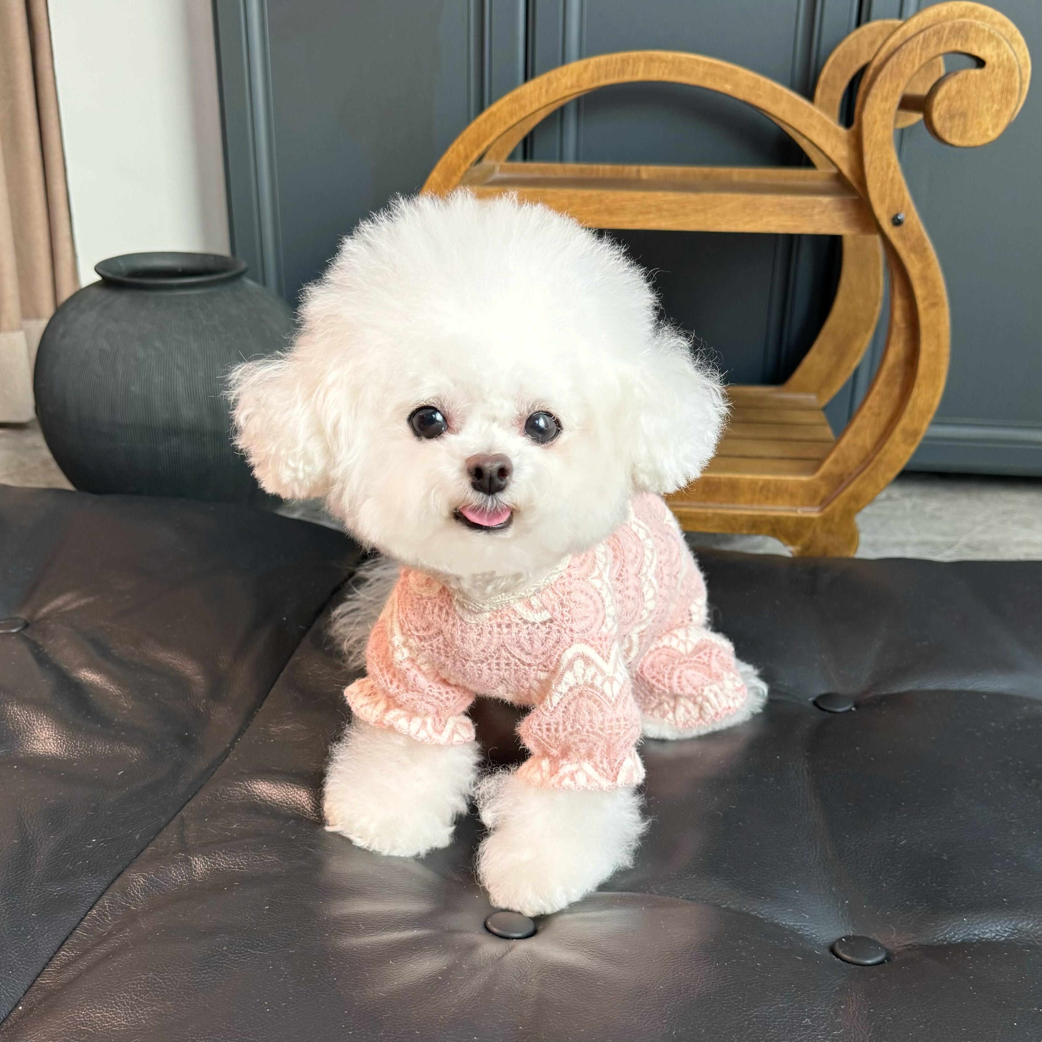 五只小白熊原创宠物衣服秋冬新款蕾丝毛绒包肚衣狗狗猫咪保暖裤子