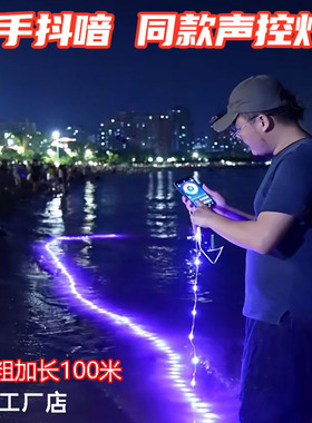 声控灯带跑马流水灯串户外彩灯usb幻彩防水露营音乐节奏灯串串灯