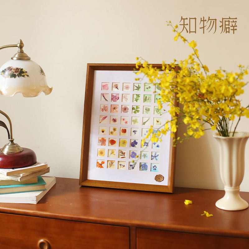 知物癖《四季之歌》植物标本 干花相框摆件装饰画生日礼物