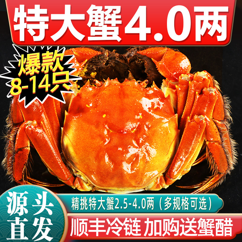 源头直发顺丰冷链鲜活到家图片