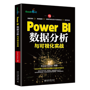 正版PowerBI数据分析与可视化实战ExcelHome著商业智能数据可视化内幕北京大学出版社9787301333563
