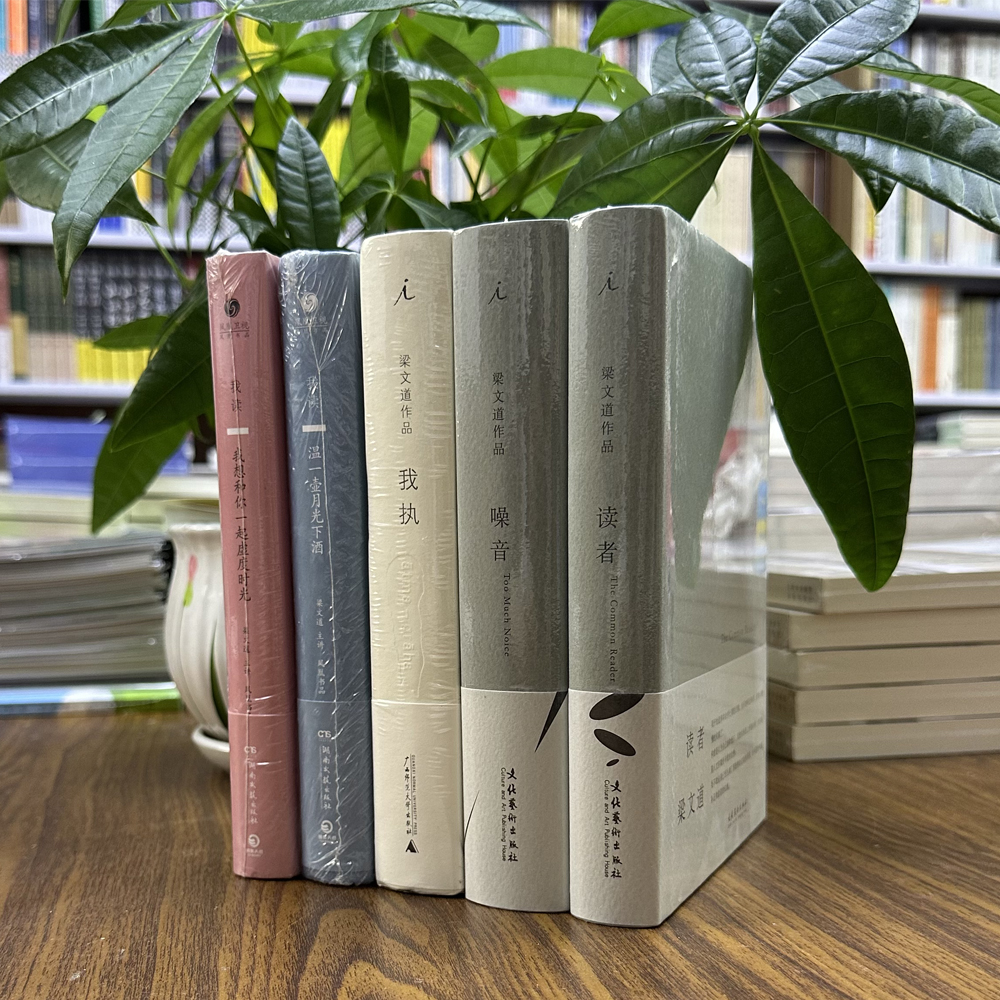 梁文道作品共5册精装我想和你一起虚度时光+温一壶月光下酒+我执+噪音+读者5册可任选单本