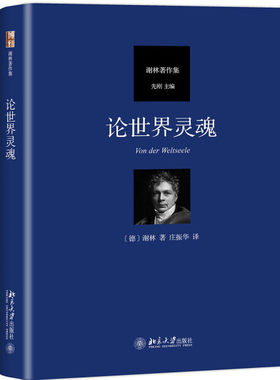 论世界灵魂9787301296998