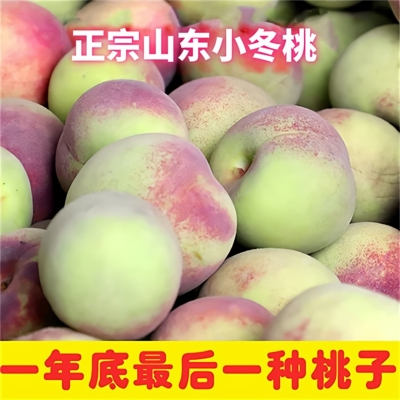 小冬桃山东蜜桃桃子毛桃新鲜水果5斤3斤脆甜好吃孕妇水果冬桃
