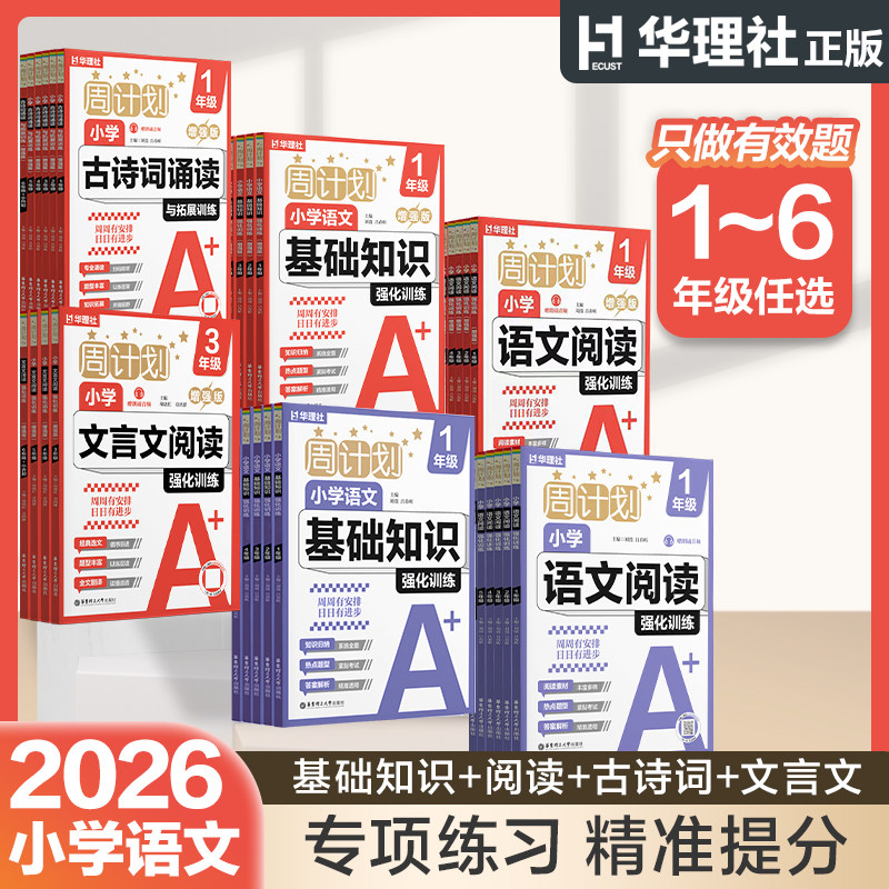 华理社周计划小学语文基础知识强化训练增强版+基础版 小学生语文基础词语成语作文123456年级 开学作业补充练习小荷妈同款图片