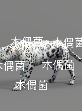 简模3dmax格式bip骨骼动物绑定动作白色豹子模型文件 非实物S46