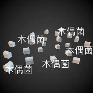 c4d 古代木箱镖箱宝箱文件 fbx 3ds格式 非实物C735 obj 3dmax