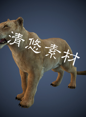 四足野生动物雌性狮子c4d fbx狮子模型骨骼绑定带动作文件 A77