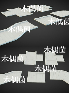 maya c4d fbx obj格式古风古代石板石路地面文件模型 非实物C171