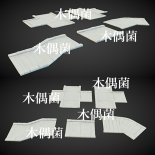 maya c4d fbx obj格式古风古代石板石路地面文件模型 非实物C171