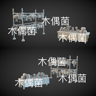 c4d 古代古风灯笼摊位花灯文件 fbx 3ds格式 非实物C737 obj 3dmax