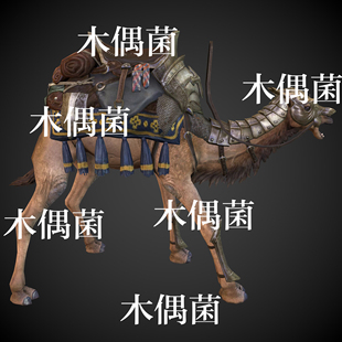 非实物C345 骨骼绑定带动作骆驼坐骑盔甲模型文件 c4d fbx格式