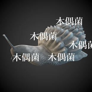 非实物C620 游戏怪物爬行动物蜗牛骨骼绑定带动作文件 c4d fbx格式