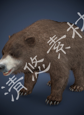 3dmax c4d棕熊模型 野生动物 狗熊黑瞎子 骨骼绑定fbx格式文件477