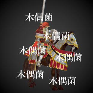 非实物C598 中世纪骑马战士骑士骨骼绑定带动作文件 c4d fbx格式