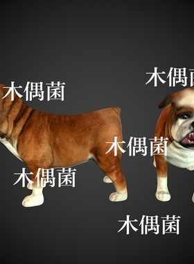 c4d fbx格式骨骼绑定带动作简模小狗斗牛犬模型文件 非实物C338