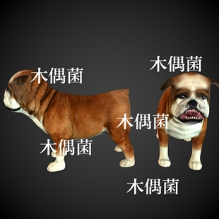 非实物C338 骨骼绑定带动作简模小狗斗牛犬模型文件 c4d fbx格式