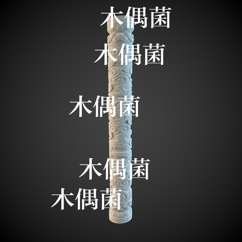 3dmax c4d fbx obj格式中式古风浮雕祥云莲花柱子文件 非实物C615
