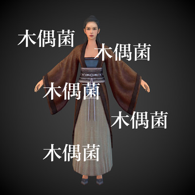 c4d fbx格式骨骼绑定古风古代美女人物模型文件 非实物C449