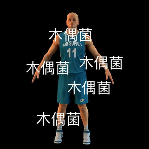 3dmax篮球运动员球服人物 bip骨骼绑定模型3D文件   非实物S16