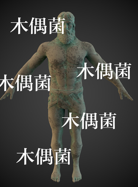 c4d fbx格式模型骨骼绑定西方人物雕像铜像男文件 非实物C419