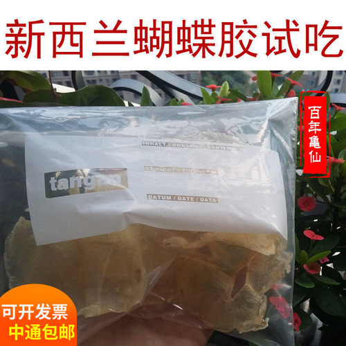 进口新西兰蝴蝶鱼加州白花胶小鳌