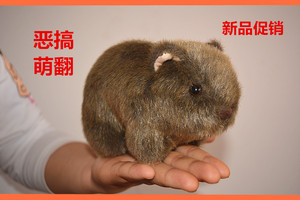 仿真仓鼠公仔小老鼠毛绒玩具恶搞玩具早教豚鼠荷兰猪圣诞新年礼物