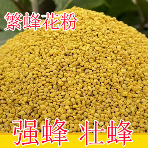 蜜蜂百花粉新鲜青海油菜花粉
