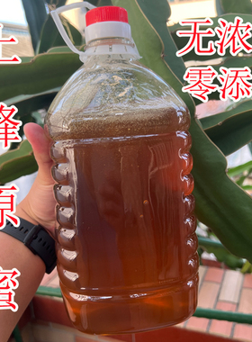 2025年新鲜正宗中蜂蜜土蜂蜜繁蜂饲料蜜蜂口粮百花蜜人吃喂蜂皆可