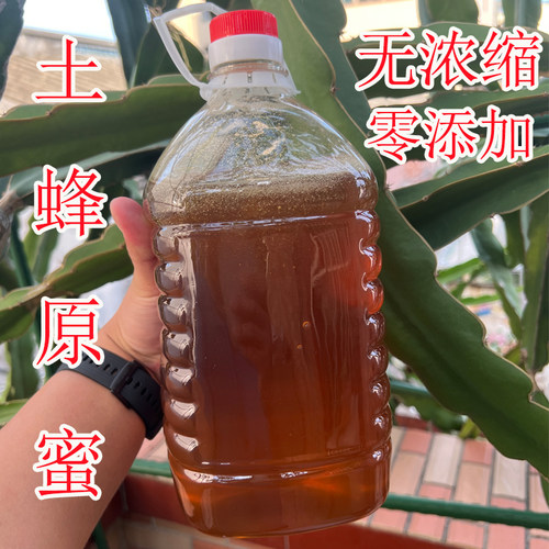 正宗中蜂蜜土蜂蜜繁蜂饲料