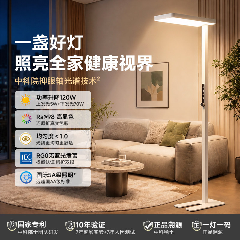 爱果乐普瑞灯珠全光谱大路灯										