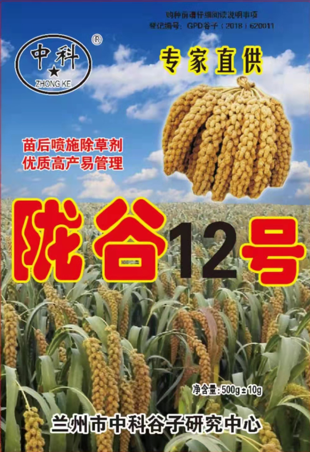 陇谷12号优良谷子品种香米口感好矮杆穗大抗除草剂带药直销500克