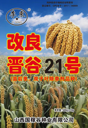 晋谷21号谷子种子抗除草剂高产抗旱抗病千斤香谷抗鸟李东金谷500g
