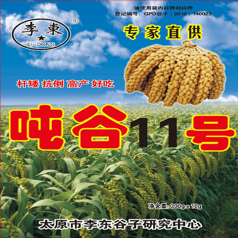 11号优良品种香米口感300g