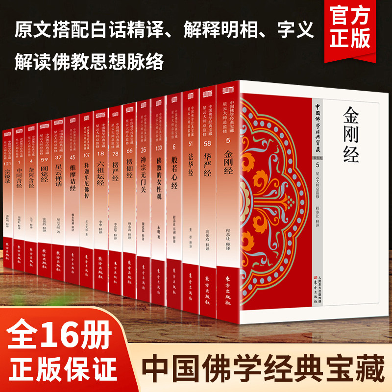 【官方正版】中国佛学经典宝藏全套16册星云大师入门级佛学书籍永嘉证道歌长阿含经大智度论华严经安般守意经肇论纲要中论 - 实物图