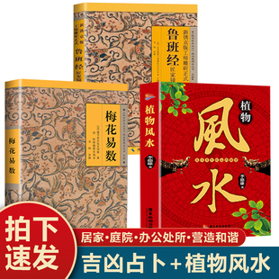 修宝典住宅风水知识吉祥摆放建筑核心风水布局家装 3册梅花易数 居家风水大全风水入门书宜忌现代装 植物风水正版 风水文化书 鲁班经