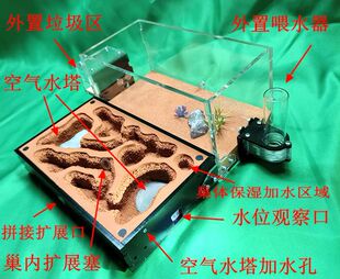 蚂蚁城堡M 无限拼接扩展 生态蚁巢  可视双水塔 蚂蚁农场帝国科普