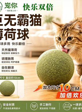 猫薄荷球超大10厘米猫玩具自嗨解闷磨牙猫草球逗猫棒猫咪零食玩具
