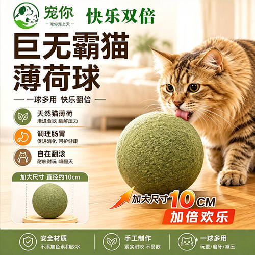 超大号猫薄荷球磨牙洁齿耐咬自嗨