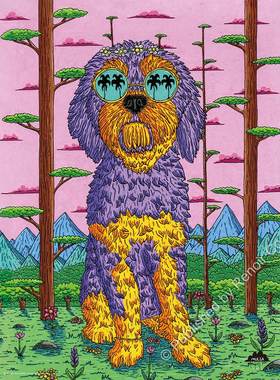 雷诺瓦益智玩具拼图/小狗茱诺/Mulga/504片拼图现货