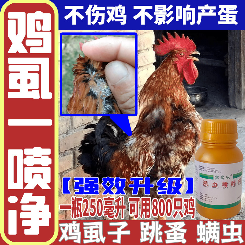 鸡用灭鸡虱子跳蚤药体外除虫杀虫